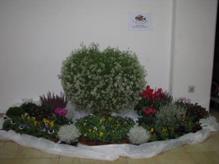 Podelitev priznanj nagrajencem projekta Moja dežela - lepa in gostoljubna 2010 14